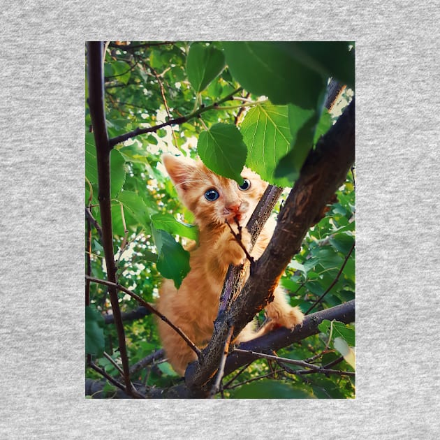 kitten in the tree by psychoshadow